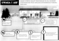 2022-02-11_infografika_ASF.jpg
